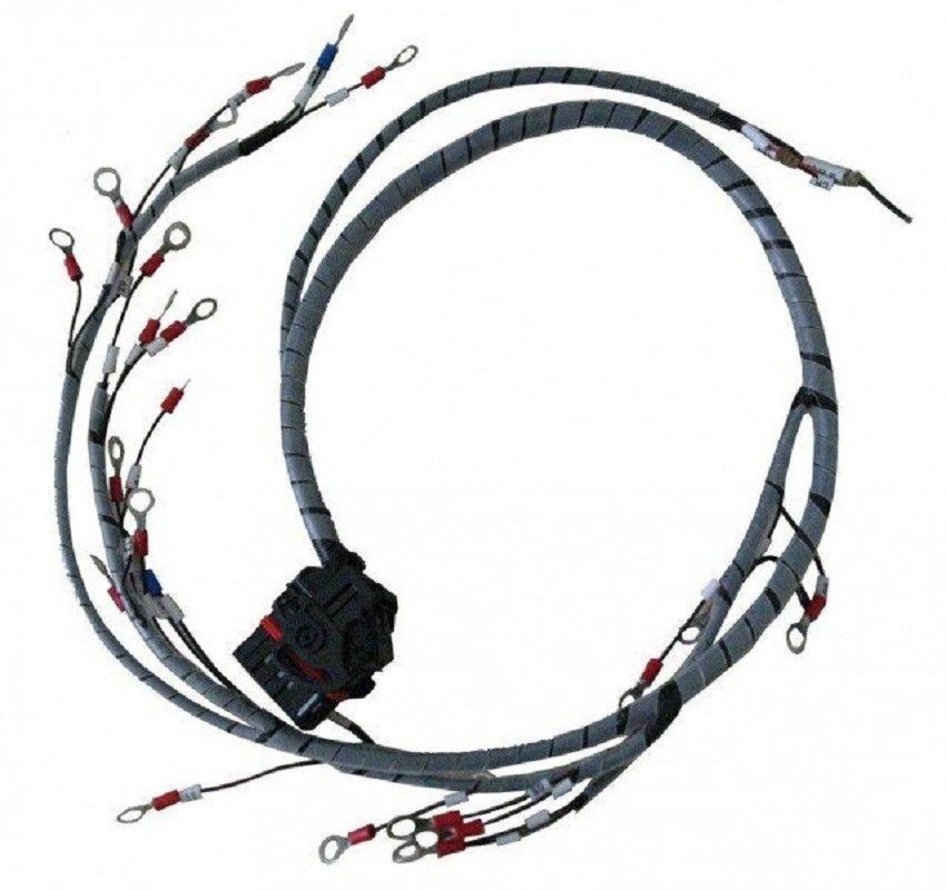 Assemblaggio di cablaggio con connettore Molex PVC Jacket Colori personalizzati